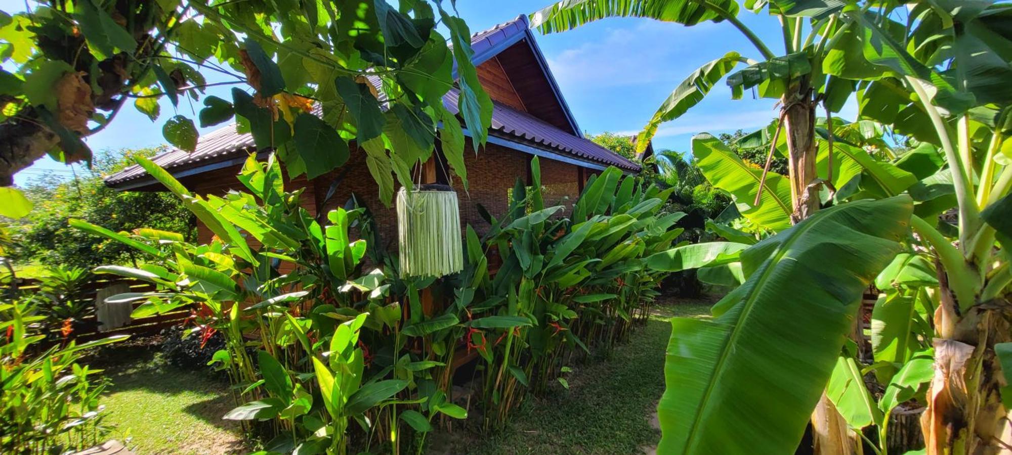 Samui Blue Bird Bed & Breakfast Mae Nam Beach Eksteriør bilde