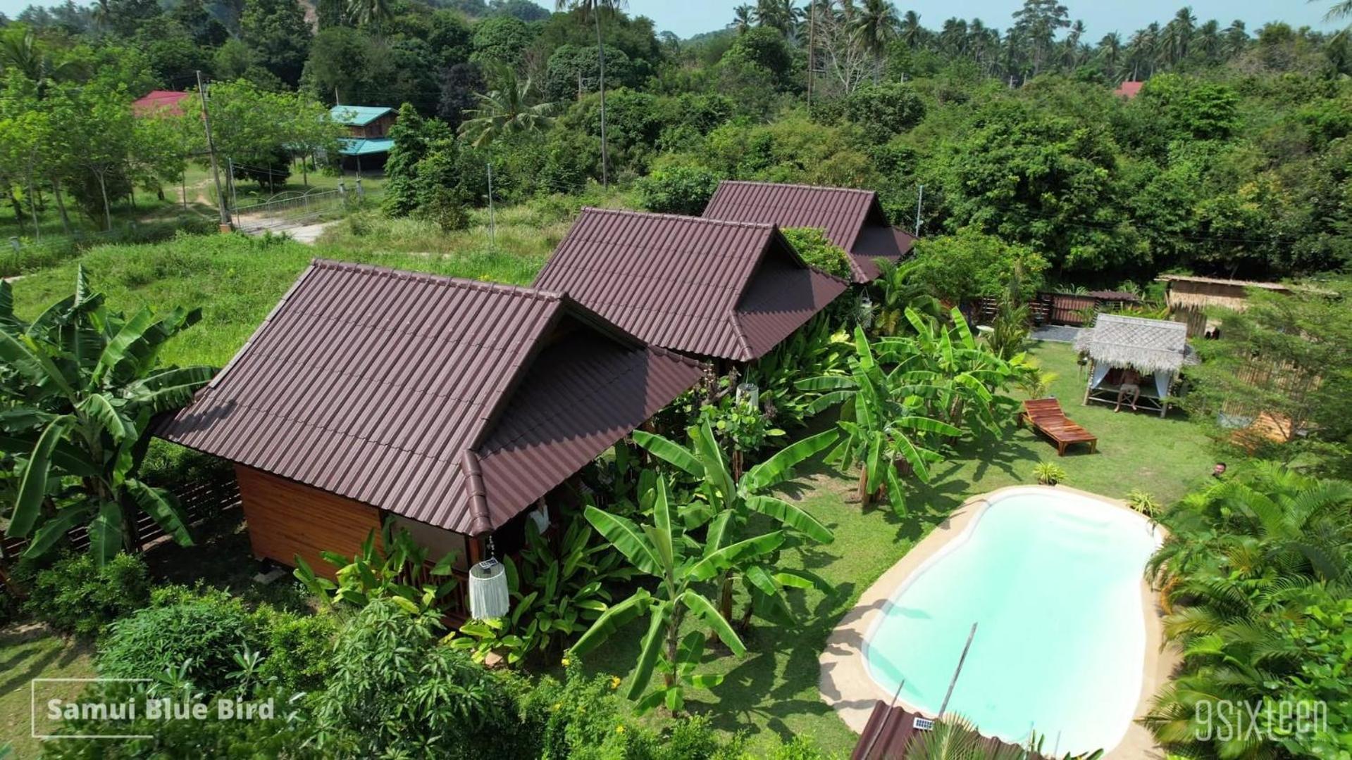 Samui Blue Bird Bed & Breakfast Mae Nam Beach Eksteriør bilde